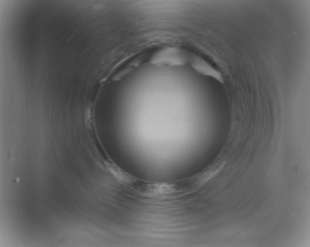 X0000068860288200605192025