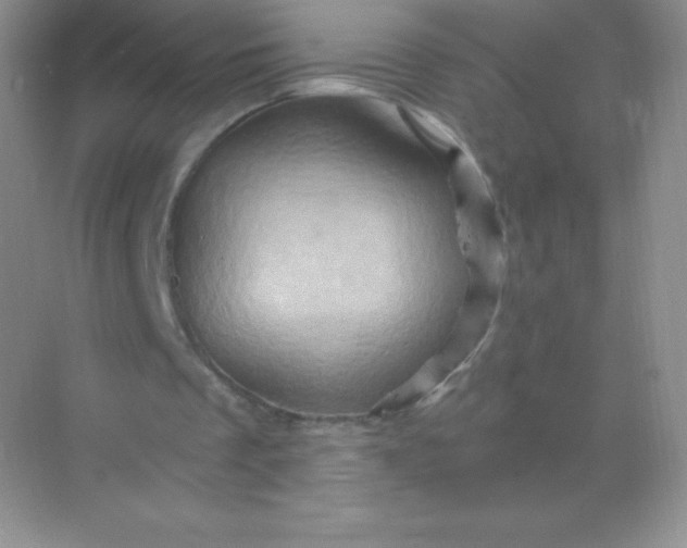 X0000068860289200605192024
