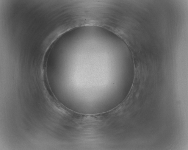 X0000068860290200605192024