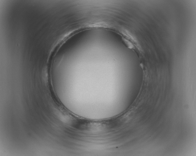 X0000068860298200605192024