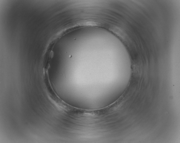 X0000068860302200605192024