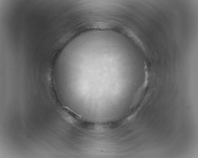 X0000068860305200605192024