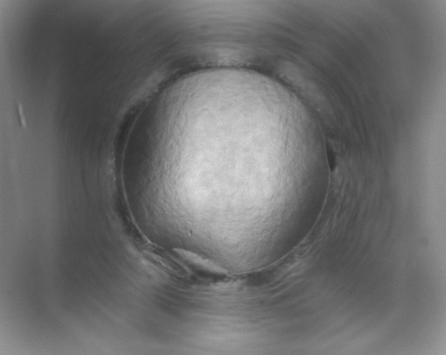 X0000068860306200605192024