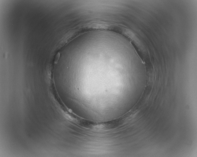 X0000068860309200605192024
