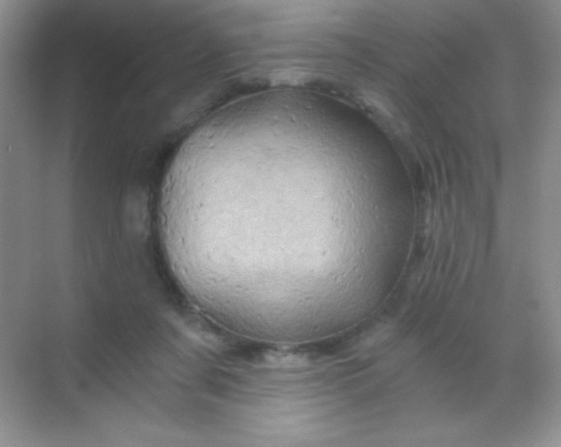 X0000068860311200605192024
