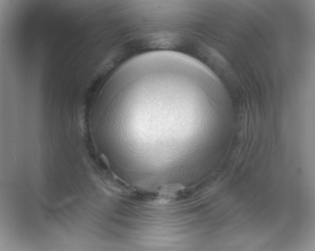 X0000068860312200605192024