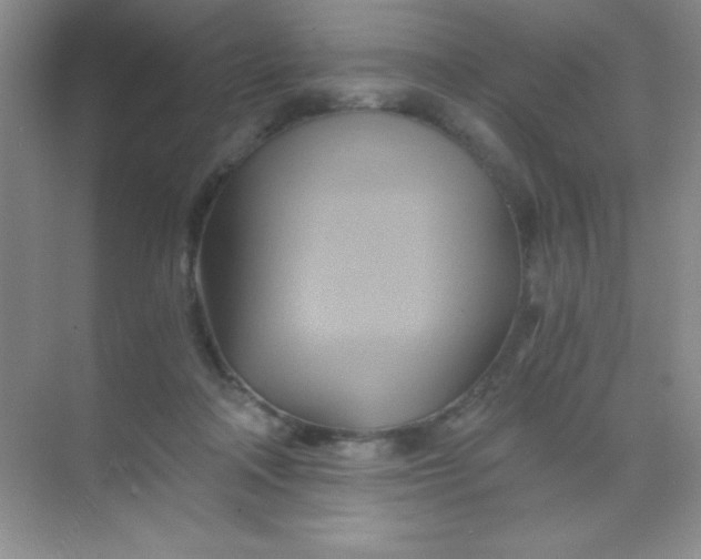 X0000068860314200605192024