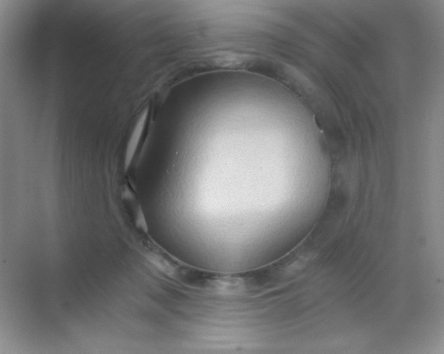 X0000068860317200605192024