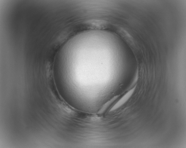 X0000068860318200605192024