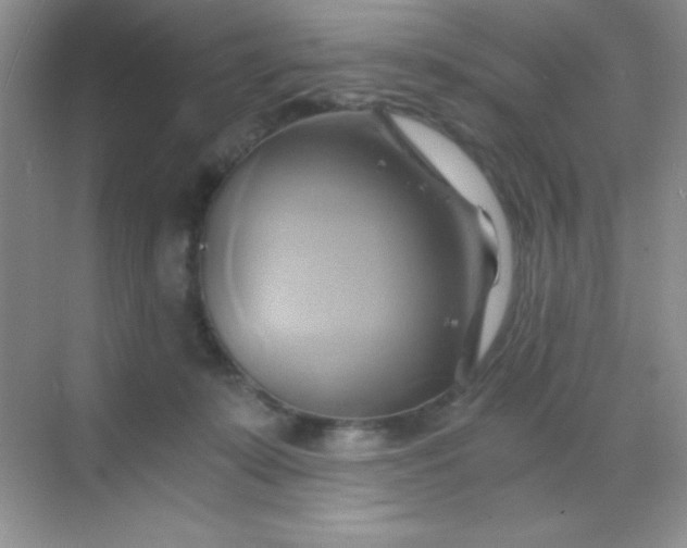X0000068860319200605192024