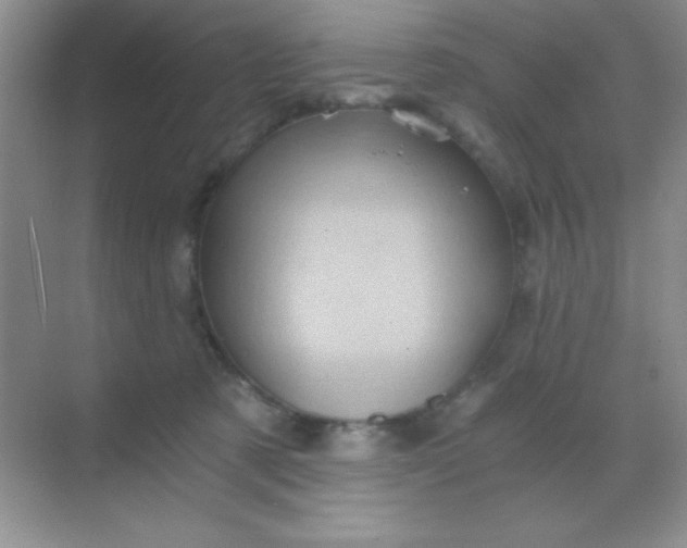 X0000068860321200605192024