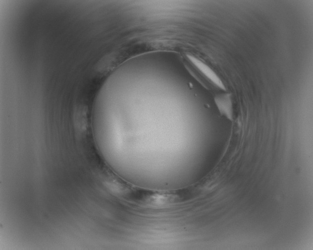 X0000068860323200605192024