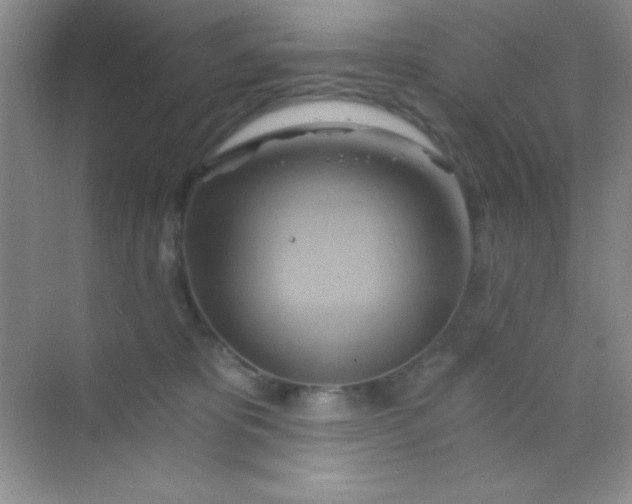 X0000068860325200605192024