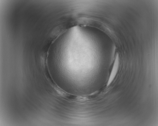 X0000068860333200605192024