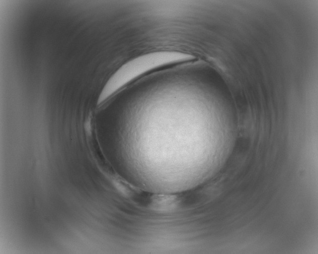 X0000068860334200605192024