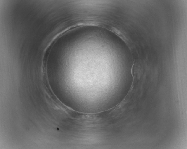 X0000068860338200605192023