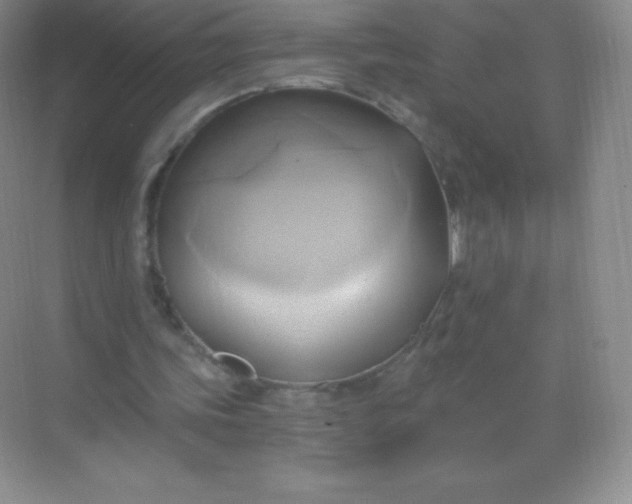 X0000068860339200605192023