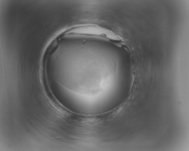 X0000068860342200605192023