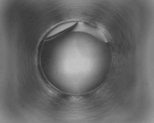 X0000068860346200605192023
