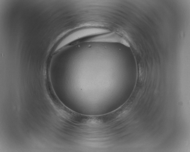 X0000068860348200605192023