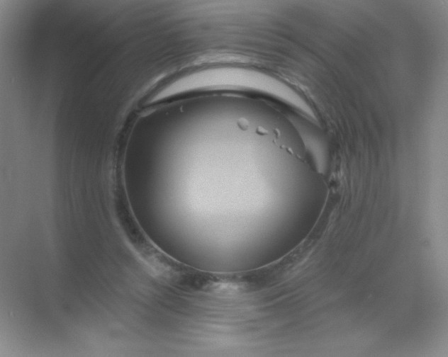 X0000068860352200605192023