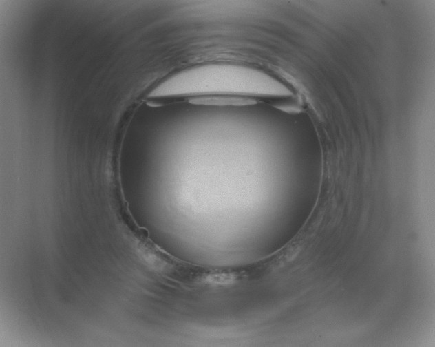 X0000068860353200605192023