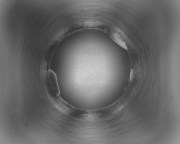 X0000068860356200605192023