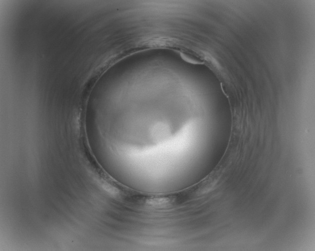 X0000068860357200605192023