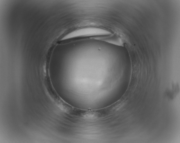 X0000068860358200605192023