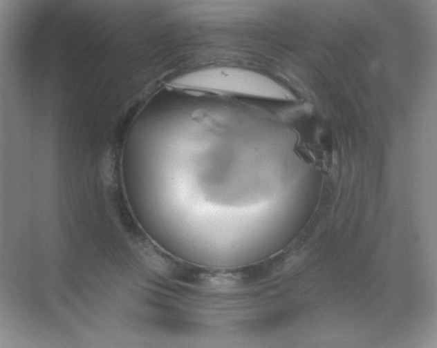 X0000068860359200605192023