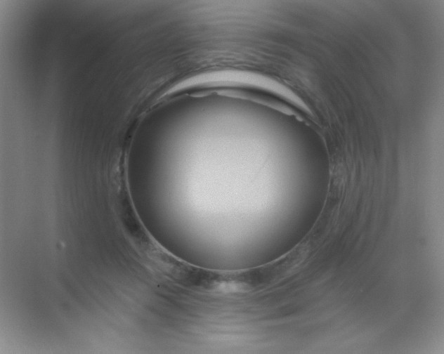 X0000068860360200605192023