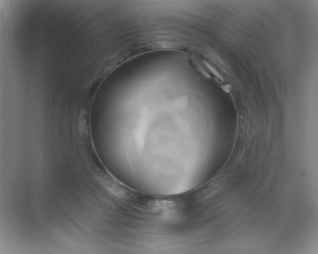 X0000068860361200605192023