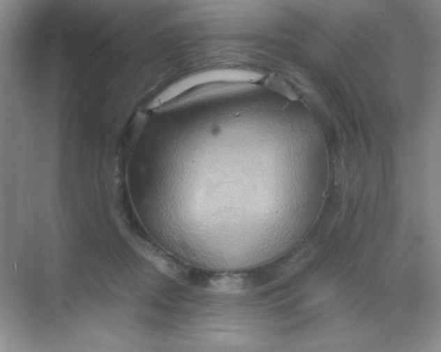 X0000068860362200605192023