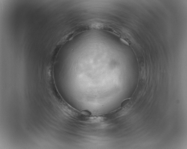 X0000068860363200605192023