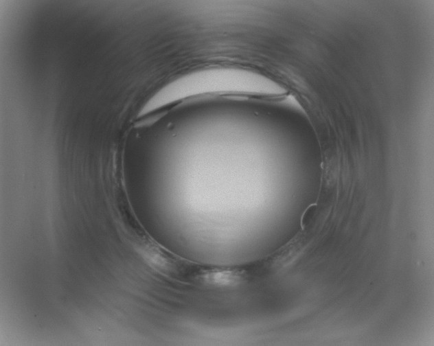 X0000068860365200605192023