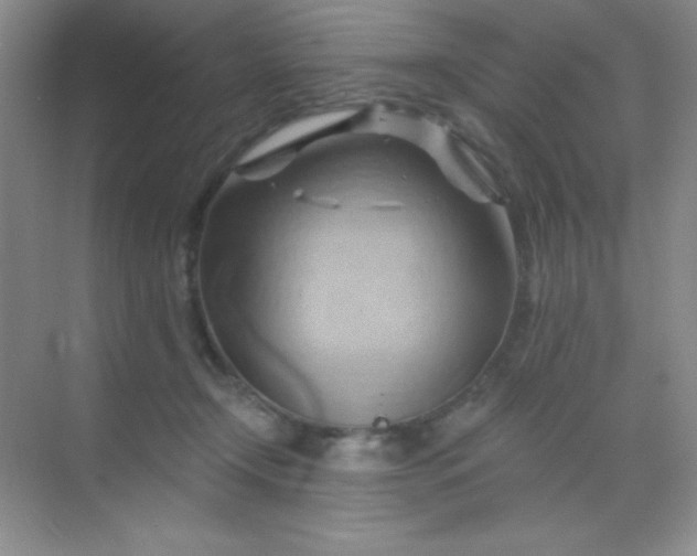 X0000068860366200605192023