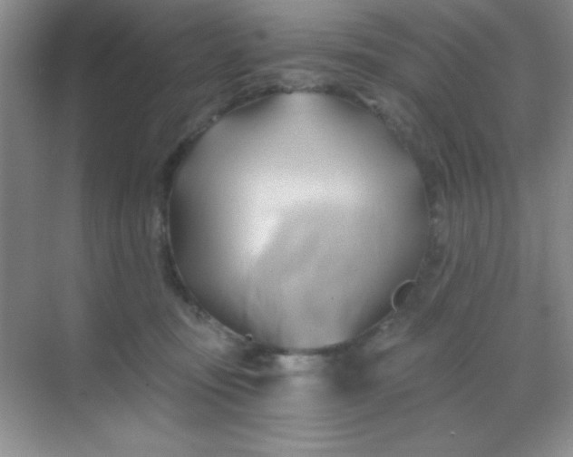 X0000068860371200605192023