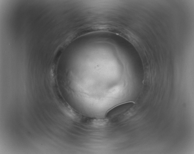 X0000068860373200605192023