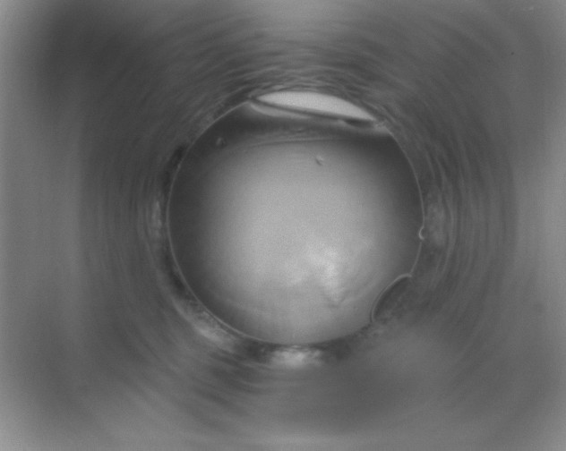 X0000068860375200605192023