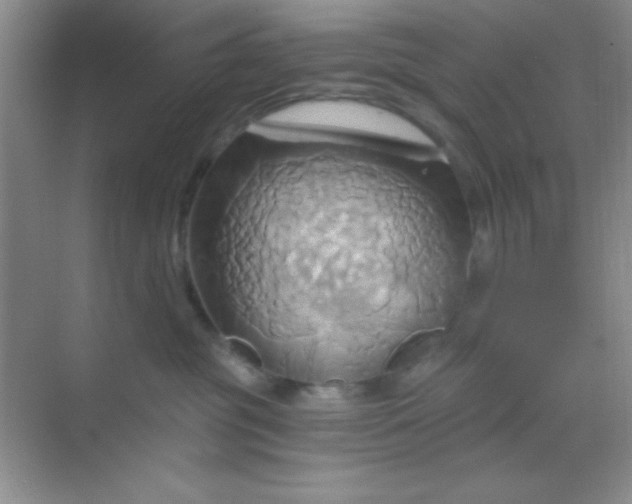 X0000068860381200605192024
