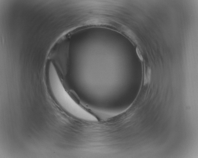 X0000068860387200605192023