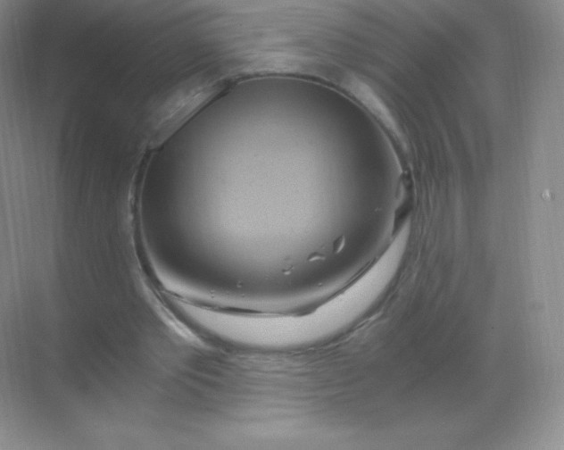 X0000068860389200605192023