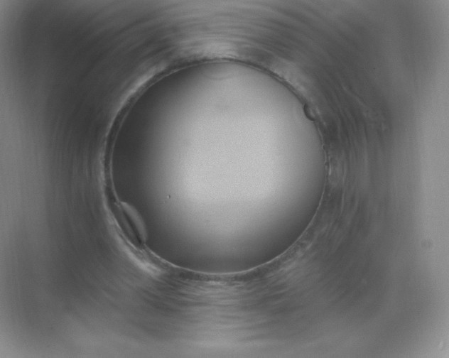 X0000068860390200605192023