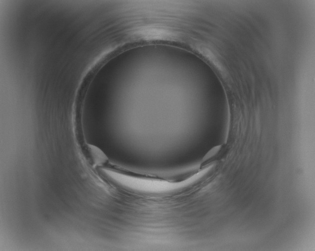 X0000068860391200605192023