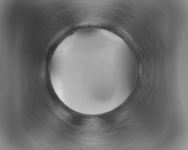 X0000068860396200605192023
