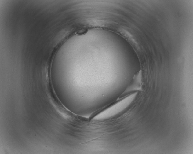 X0000068860398200605192023