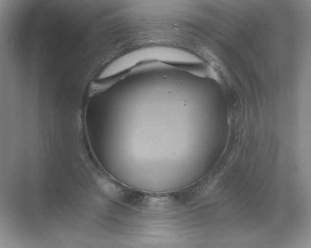 X0000068860401200605192022