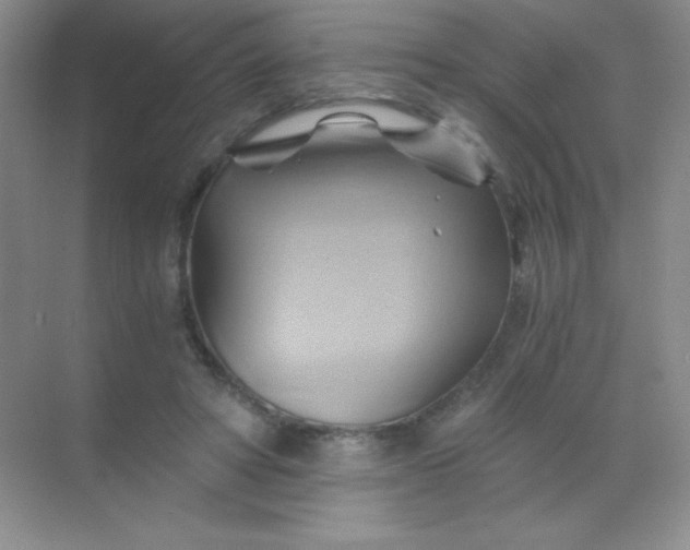 X0000068860402200605192022