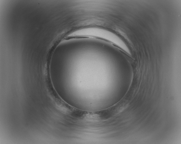 X0000068860403200605192022