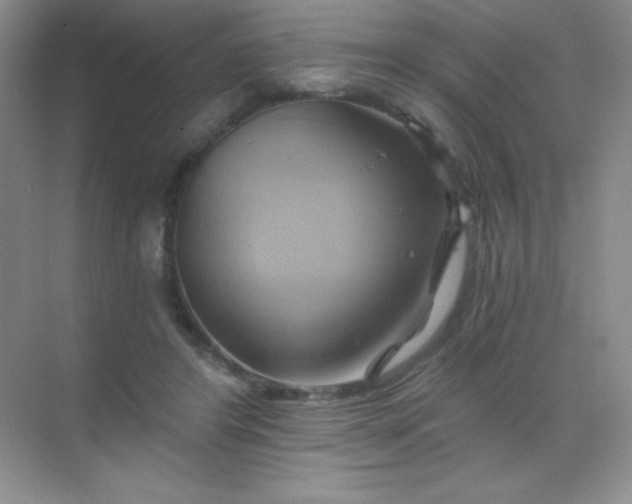 X0000068860404200605192022